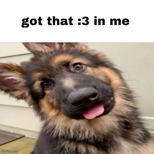 :3c | made w/ Imgflip meme maker