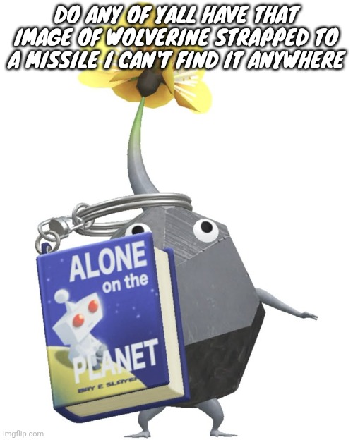Book rock pikmin | DO ANY OF YALL HAVE THAT IMAGE OF WOLVERINE STRAPPED TO A MISSILE I CAN'T FIND IT ANYWHERE | image tagged in book rock pikmin | made w/ Imgflip meme maker
