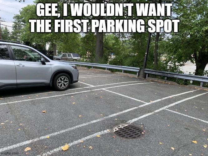 Parking Lot Fail | GEE, I WOULDN'T WANT THE FIRST PARKING SPOT | image tagged in you had one job | made w/ Imgflip meme maker
