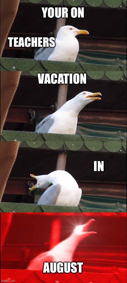 Inhaling Seagull | YOUR ON; TEACHERS; VACATION; IN; AUGUST | image tagged in memes,inhaling seagull | made w/ Imgflip meme maker