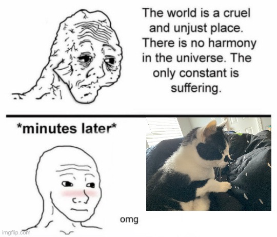 The only constant is suffering | image tagged in the only constant is suffering | made w/ Imgflip meme maker