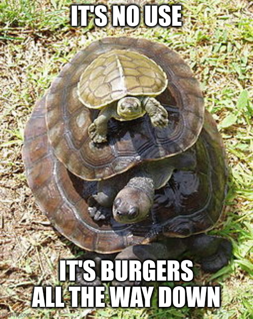 Turtles All The Way Down | IT'S NO USE IT'S BURGERS ALL THE WAY DOWN | image tagged in turtles all the way down | made w/ Imgflip meme maker