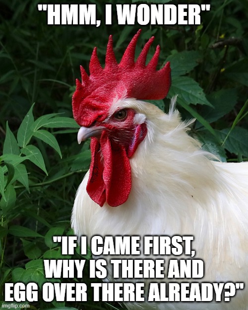 Chicken Thoughts | "HMM, I WONDER"; "IF I CAME FIRST, WHY IS THERE AND EGG OVER THERE ALREADY?" | image tagged in chicken thoughts | made w/ Imgflip meme maker