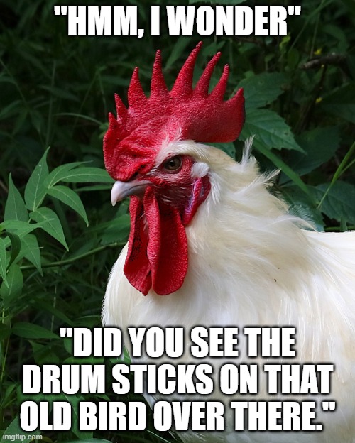 Chicken Thoughts | "HMM, I WONDER"; "DID YOU SEE THE DRUM STICKS ON THAT OLD BIRD OVER THERE." | image tagged in chicken thoughts | made w/ Imgflip meme maker