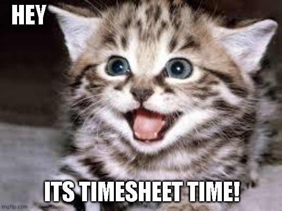 happy cat | HEY; ITS TIMESHEET TIME! | image tagged in happy cat | made w/ Imgflip meme maker