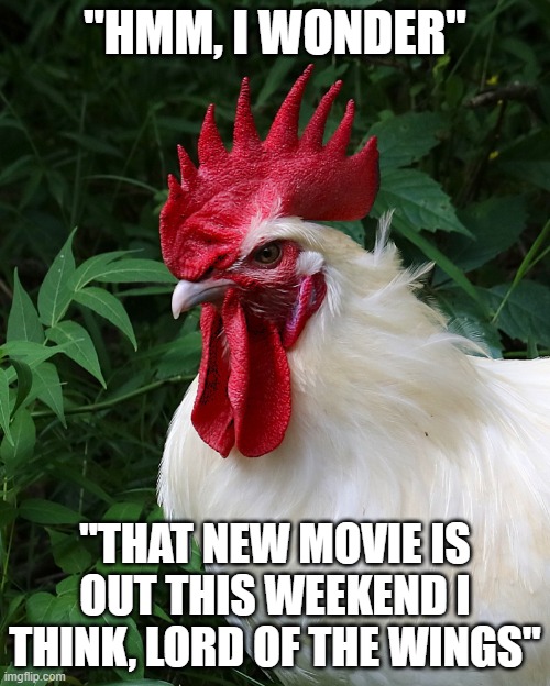 Chicken Thoughts | "HMM, I WONDER"; "THAT NEW MOVIE IS OUT THIS WEEKEND I THINK, LORD OF THE WINGS" | image tagged in chicken thoughts | made w/ Imgflip meme maker