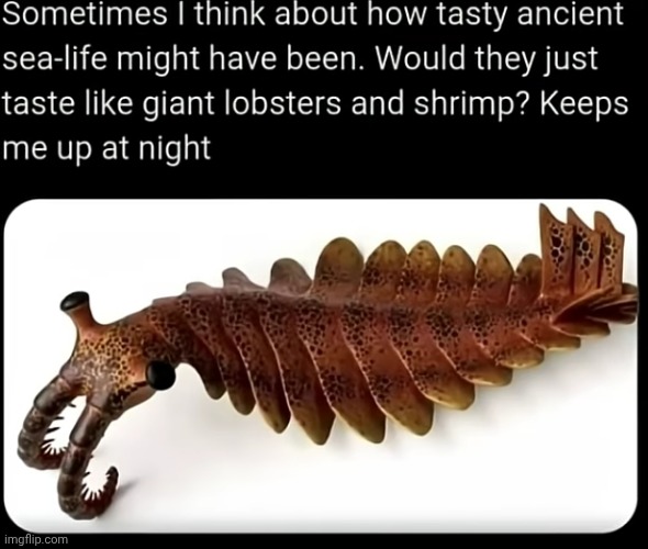 creature | made w/ Imgflip meme maker