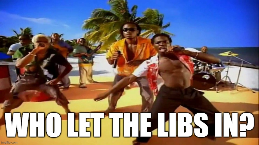 WHO LET THE LIBS IN? | image tagged in who let the dogs out | made w/ Imgflip meme maker