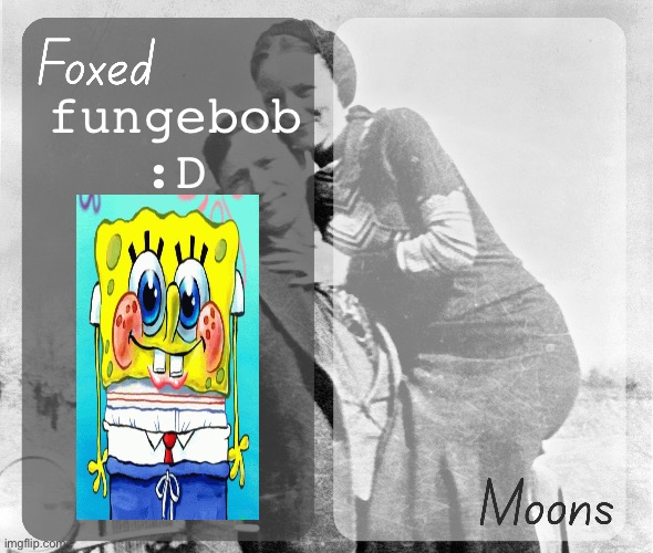 Foxed n Moons - Bonnie and Clyde temp | fungebob :D | image tagged in foxed n moons - bonnie and clyde temp | made w/ Imgflip meme maker