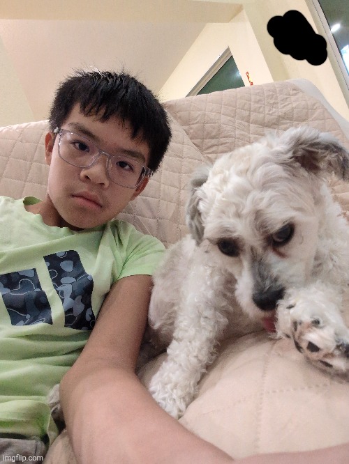 dog | made w/ Imgflip meme maker