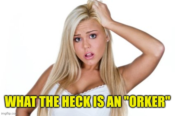 Dumb Blonde | WHAT THE HECK IS AN "ORKER" | image tagged in dumb blonde | made w/ Imgflip meme maker