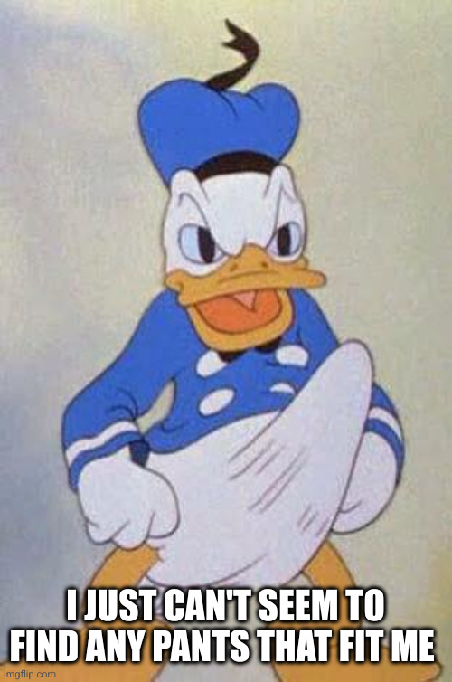 Horny Donald Duck | I JUST CAN'T SEEM TO FIND ANY PANTS THAT FIT ME | image tagged in horny donald duck | made w/ Imgflip meme maker