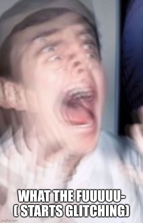 Freaking out | WHAT THE FUUUUU- ( STARTS GLITCHING) | image tagged in freaking out | made w/ Imgflip meme maker