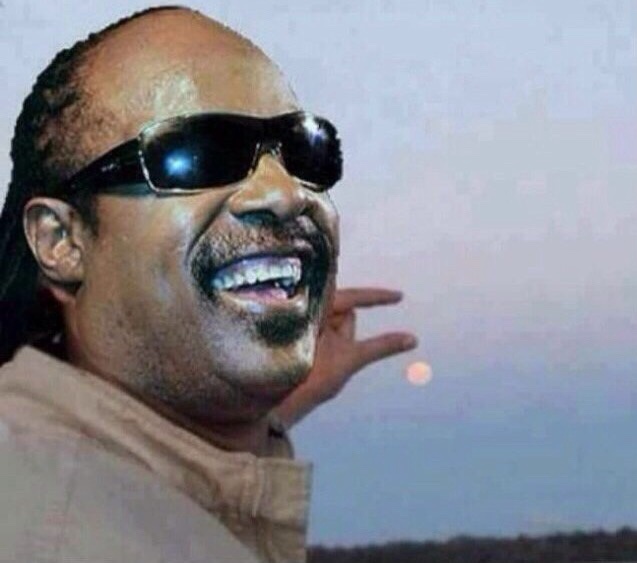 Stevie Wonder Blank Meme Template