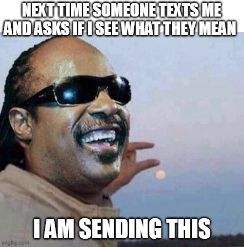 Next time someone texts me and asks if I See what they mean | NEXT TIME SOMEONE TEXTS ME AND ASKS IF I SEE WHAT THEY MEAN; I AM SENDING THIS | image tagged in stevie wonder,funny,text,see,sun | made w/ Imgflip meme maker