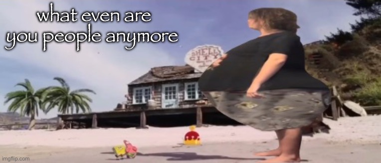 harassing bc of air conditioning | what even are you people anymore | image tagged in wide load | made w/ Imgflip meme maker