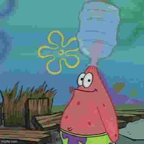Patrick head stuck in bottle dumb | image tagged in patrick head stuck in bottle dumb | made w/ Imgflip meme maker