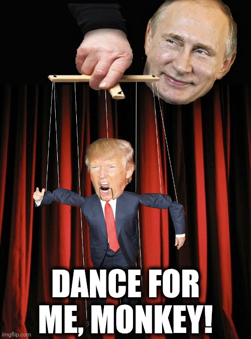 Donny the Puppet | DANCE FOR ME, MONKEY! | image tagged in trump puppet | made w/ Imgflip meme maker
