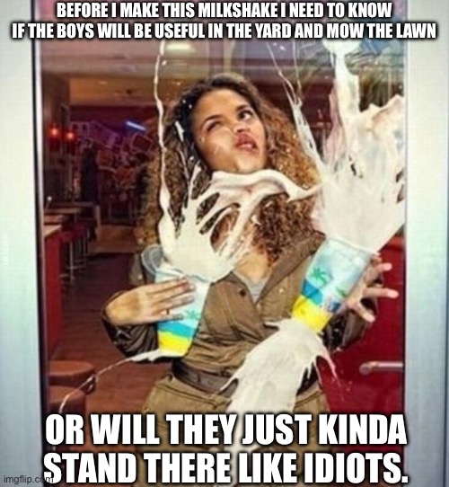 Her milkshakes | BEFORE I MAKE THIS MILKSHAKE I NEED TO KNOW IF THE BOYS WILL BE USEFUL IN THE YARD AND MOW THE LAWN; OR WILL THEY JUST KINDA STAND THERE LIKE IDIOTS. | image tagged in milkshake stupid,milkshakes,boys | made w/ Imgflip meme maker