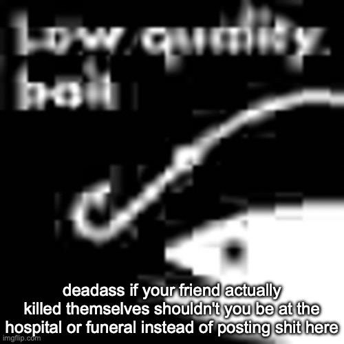 low quality bait | deadass if your friend actually killed themselves shouldn't you be at the hospital or funeral instead of posting shit here | image tagged in low quality bait | made w/ Imgflip meme maker