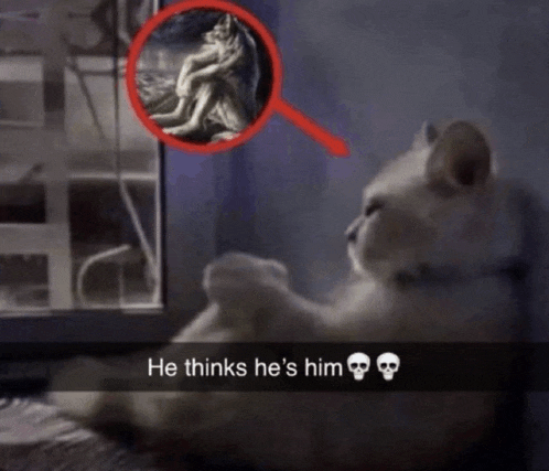 he thinks he's him (cat) Blank Meme Template