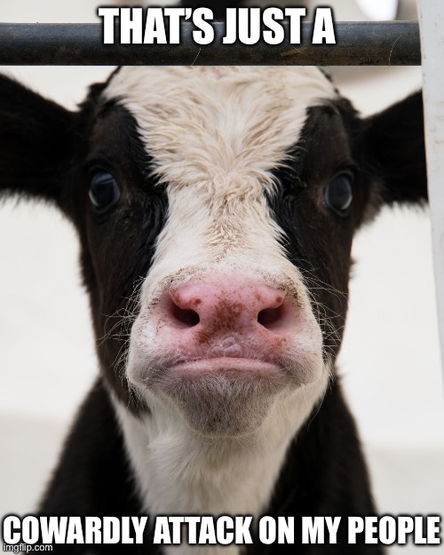Angry Cow | THAT’S JUST A; COWARDLY ATTACK ON MY PEOPLE | image tagged in angry cow | made w/ Imgflip meme maker