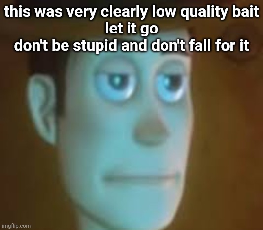 disappointed woody | this was very clearly low quality bait
let it go
don't be stupid and don't fall for it | image tagged in disappointed woody | made w/ Imgflip meme maker