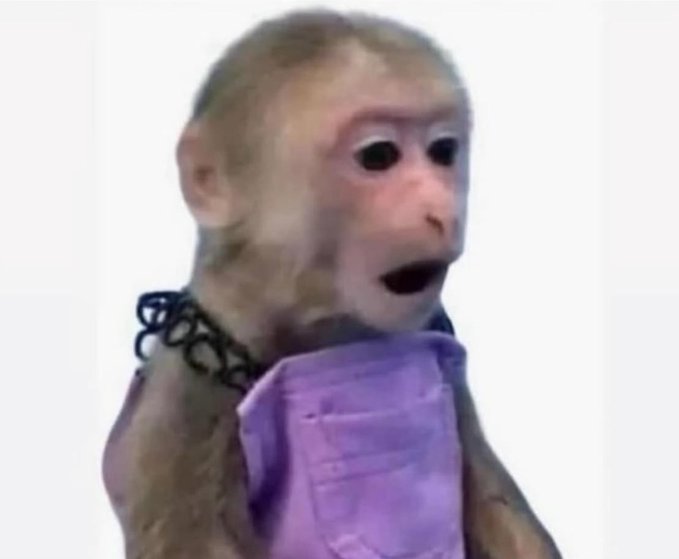 Surprised Blank Meme Template