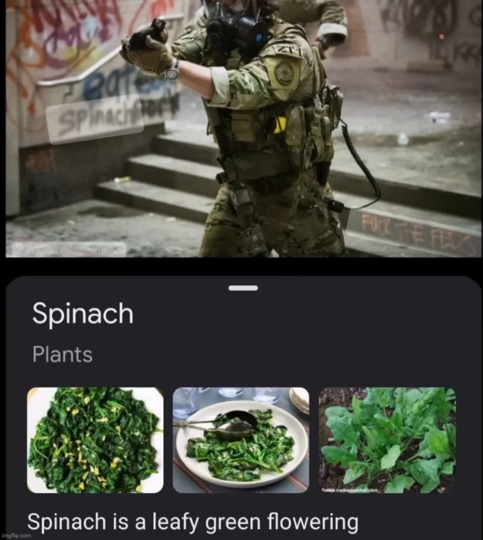 Is that so, Google Lens? | image tagged in memes,funny,google,lens,spinach marine | made w/ Imgflip meme maker
