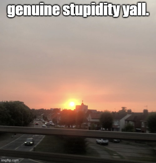 Sunset | genuine stupidity yall. | image tagged in sunset | made w/ Imgflip meme maker