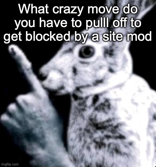 rabbit | What crazy move do you have to pulll off to get blocked by a site mod | image tagged in rabbit | made w/ Imgflip meme maker