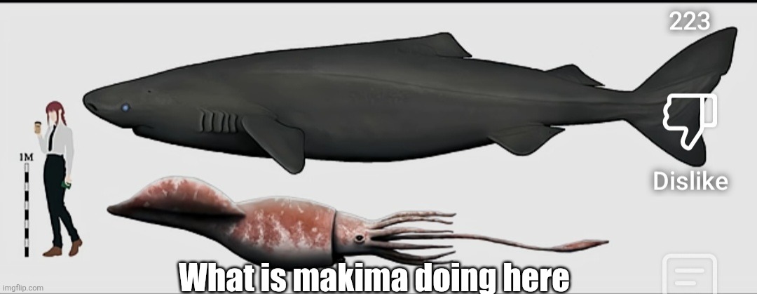 Gn chat | What is makima doing here | image tagged in chainsaw man,colossal squid | made w/ Imgflip meme maker