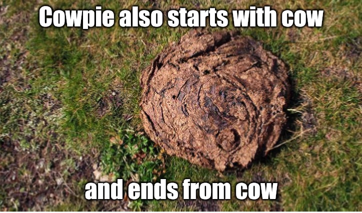 Cowpie also starts with cow and ends from cow | made w/ Imgflip meme maker
