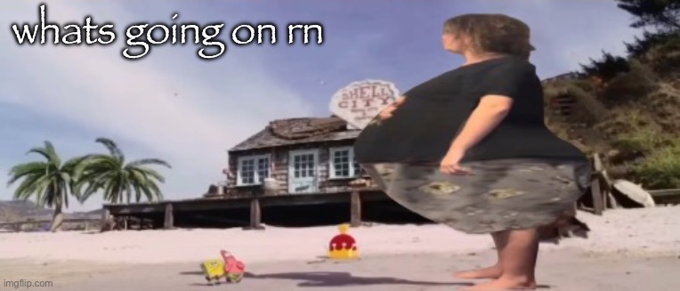 wide load | whats going on rn | image tagged in wide load | made w/ Imgflip meme maker