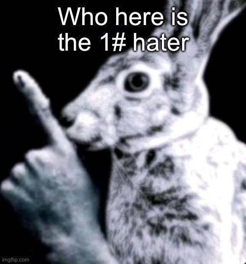rabbit | Who here is the 1# hater | image tagged in rabbit | made w/ Imgflip meme maker