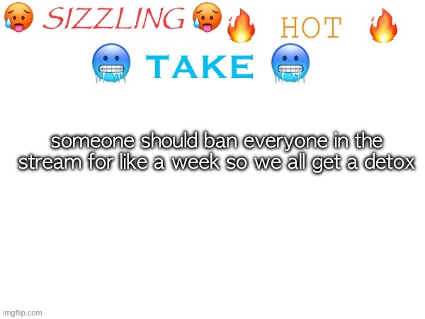 trust | someone should ban everyone in the stream for like a week so we all get a detox | image tagged in sizzling hot take | made w/ Imgflip meme maker