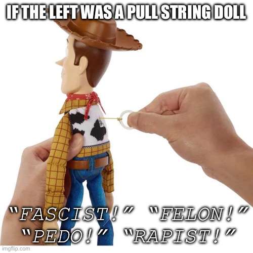 IF THE LEFT WAS A PULL STRING DOLL; “FASCIST!” “FELON!” “PEDO!” “RAPIST!” | made w/ Imgflip meme maker