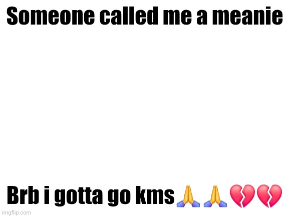 Blank White Template | Someone called me a meanie; Brb i gotta go kms🙏🙏💔💔 | image tagged in blank white template | made w/ Imgflip meme maker