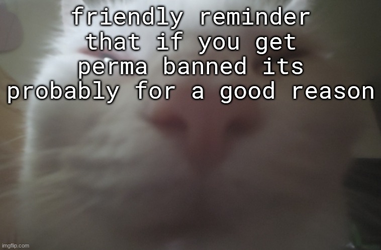 Guh? Nuh uh? | friendly reminder that if you get perma banned its probably for a good reason | image tagged in guh nuh uh | made w/ Imgflip meme maker