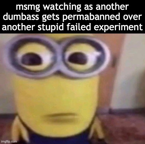 Minion Stare | msmg watching as another dumbass gets permabanned over another stupid failed experiment | image tagged in minion stare | made w/ Imgflip meme maker