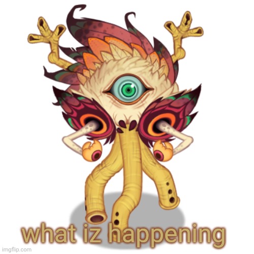 Minor Owlesque | what iz happening | image tagged in minor owlesque | made w/ Imgflip meme maker