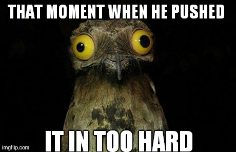 Weird Stuff I Do Potoo | THAT MOMENT WHEN HE PUSHED  IT IN TOO HARD | image tagged in memes,weird stuff i do potoo | made w/ Imgflip meme maker