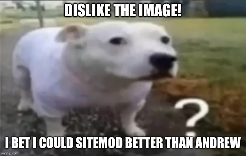? | DISLIKE THE IMAGE! I BET I COULD SITEMOD BETTER THAN ANDREW | made w/ Imgflip meme maker