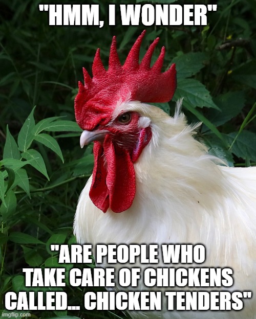 Chicken Thoughts | "HMM, I WONDER"; "ARE PEOPLE WHO TAKE CARE OF CHICKENS CALLED… CHICKEN TENDERS" | image tagged in chicken thoughts | made w/ Imgflip meme maker