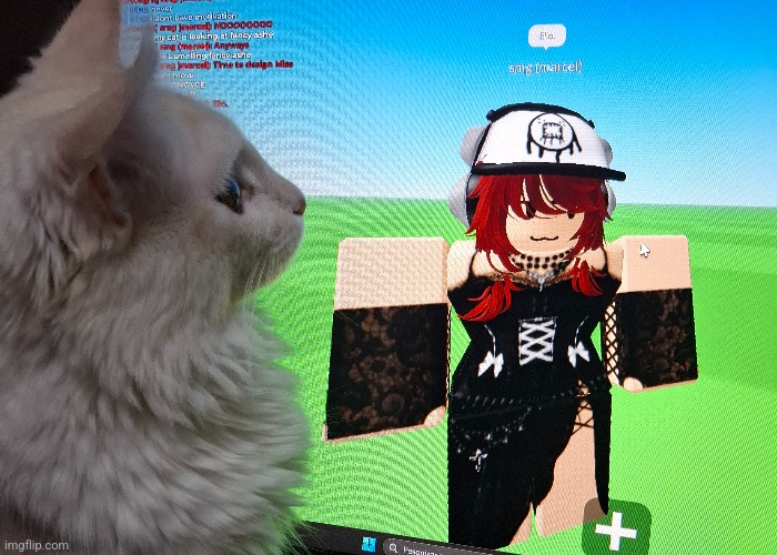 cat... is roblox. | image tagged in cat,curious,roblox | made w/ Imgflip meme maker