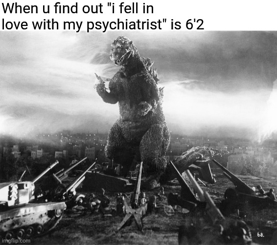 Jail. | When u find out "i fell in love with my psychiatrist" is 6'2 | image tagged in godzilla | made w/ Imgflip meme maker