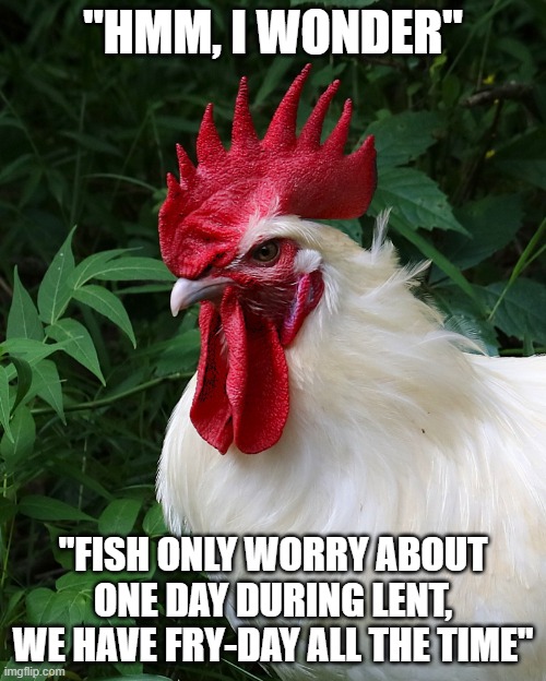 Chicken Thoughts | "HMM, I WONDER"; "FISH ONLY WORRY ABOUT ONE DAY DURING LENT, WE HAVE FRY-DAY ALL THE TIME" | image tagged in chicken thoughts | made w/ Imgflip meme maker