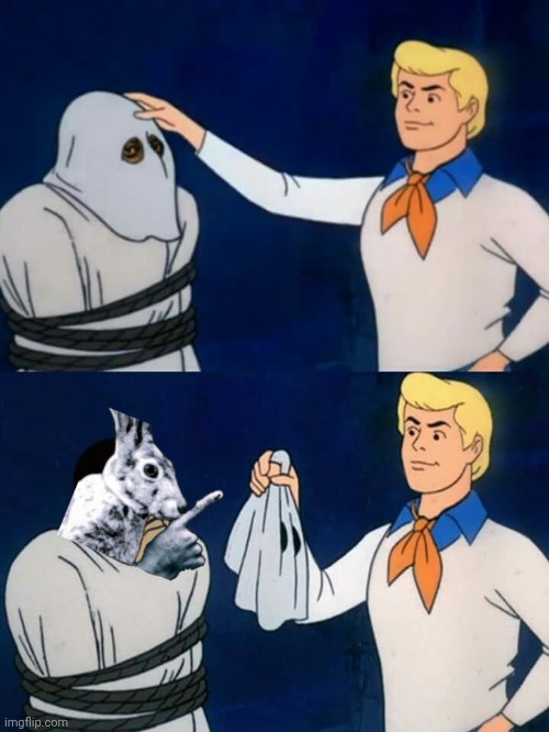 Scooby doo mask reveal | image tagged in scooby doo mask reveal | made w/ Imgflip meme maker