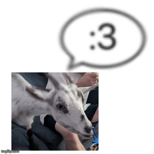 image tagged in goat | made w/ Imgflip meme maker