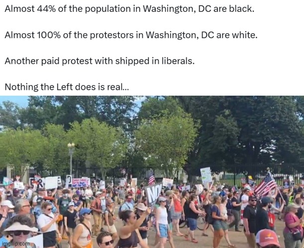 Almost 44% of the population in Washington, DC are black.  Almost 100% of the protestors in Washington, DC are white. | image tagged in dc,washington dc,washington | made w/ Imgflip meme maker